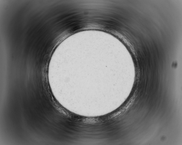 X0000103331137200810171418