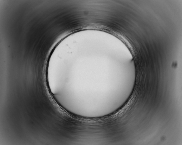 X0000103331138200810171418