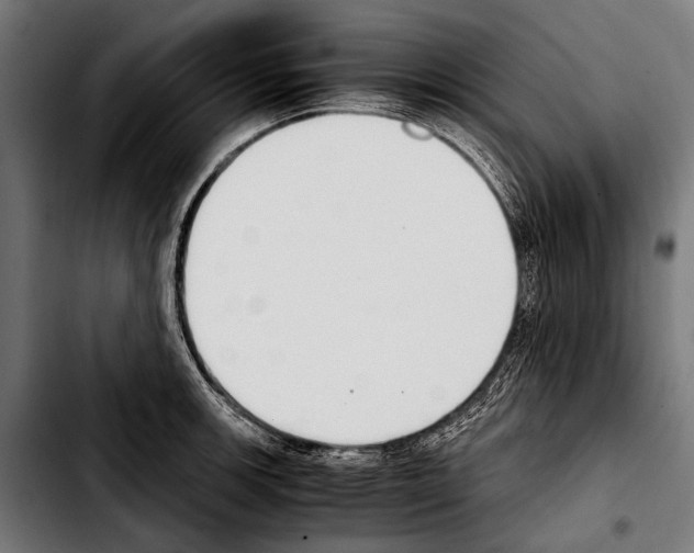 X0000103331139200810171418