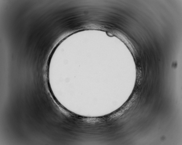 X0000103331141200810171418