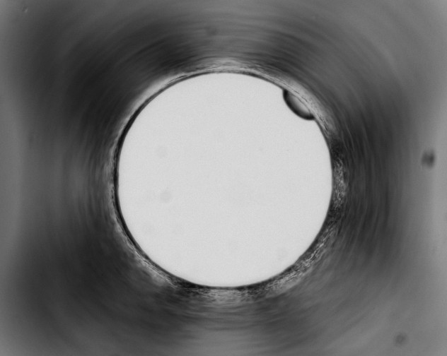 X0000103331142200810171418