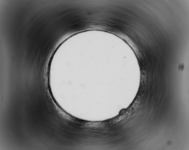 X0000103331143200810171418