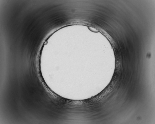 X0000103331144200810171418