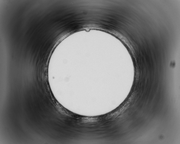 X0000103331145200810171418