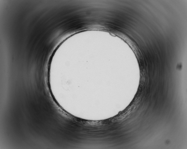 X0000103331147200810171418