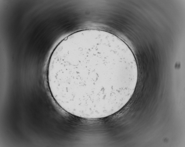 X0000103331152200810171418