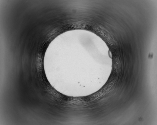 X0000103331154200810171417