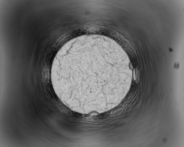 X0000103331155200810171417