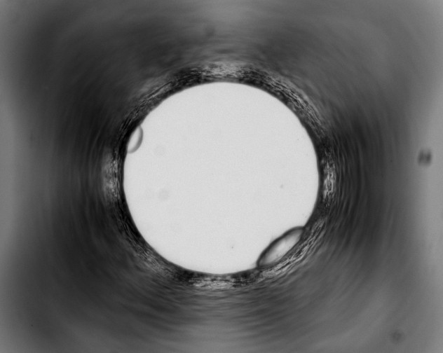 X0000103331156200810171417