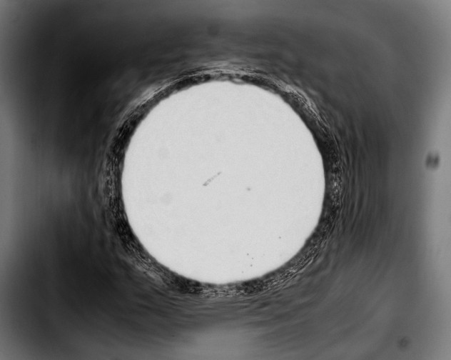 X0000103331159200810171417