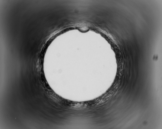 X0000103331160200810171417