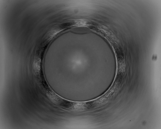 X0000103331161200810171417