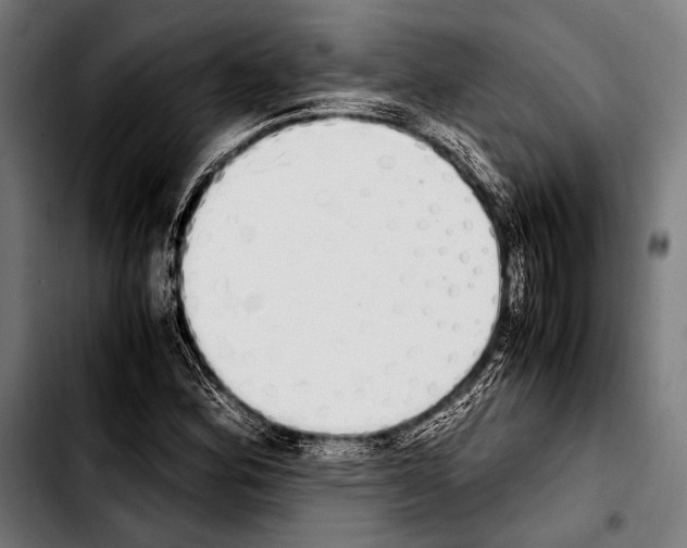 X0000103331164200810171417