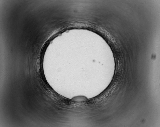 X0000103331165200810171417