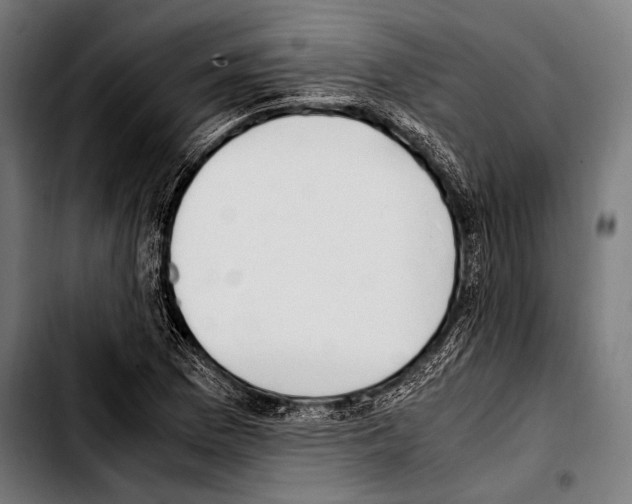 X0000103331169200810171417