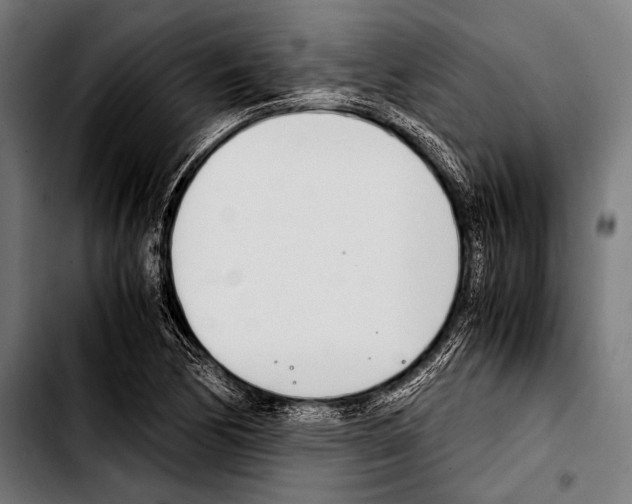 X0000103331170200810171417