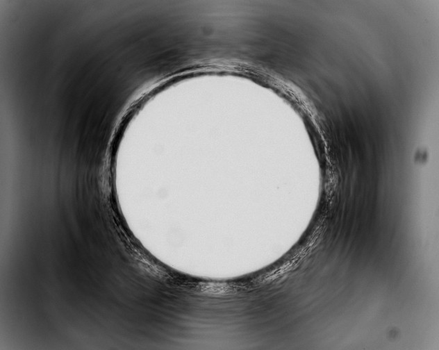 X0000103331172200810171417