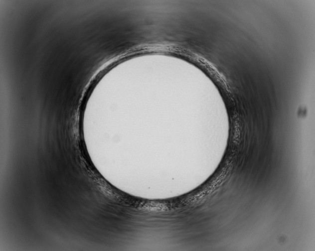 X0000103331174200810171417