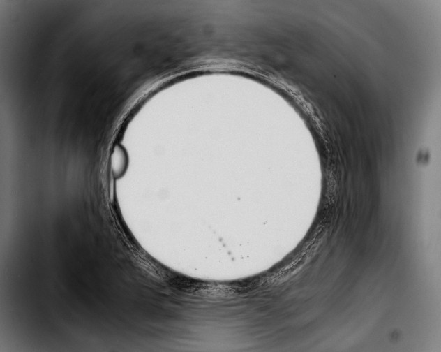 X0000103331175200810171417