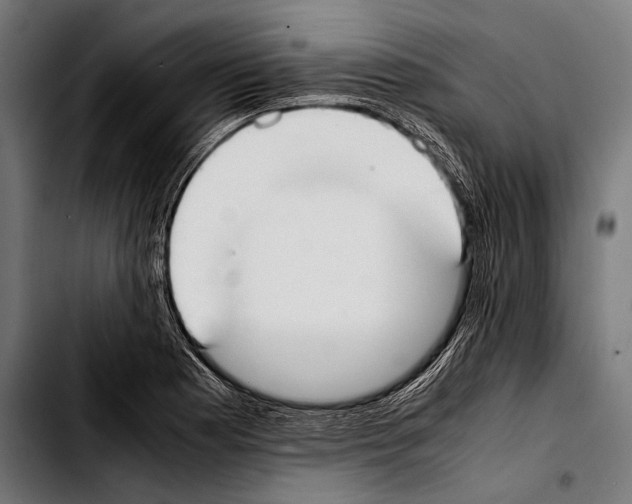 X0000103331177200810171417