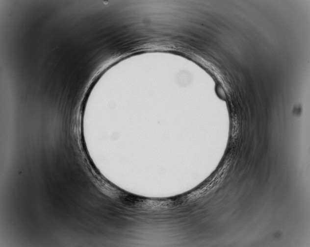 X0000103331179200810171417