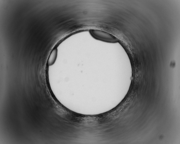 X0000103331181200810171417