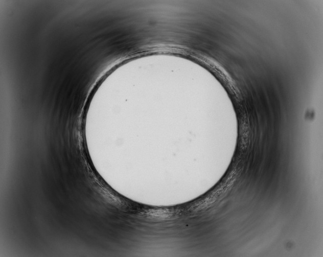 X0000103331182200810171417