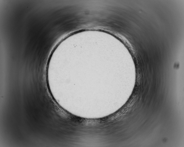 X0000103331183200810171417