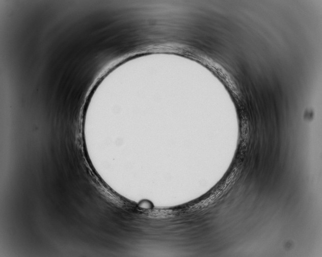 X0000103331184200810171417