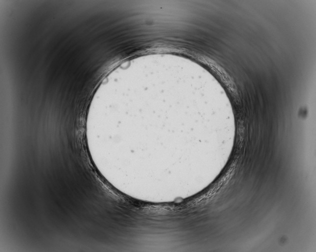 X0000103331185200810171417