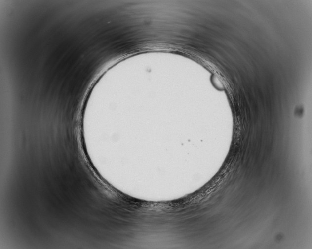 X0000103331187200810171417