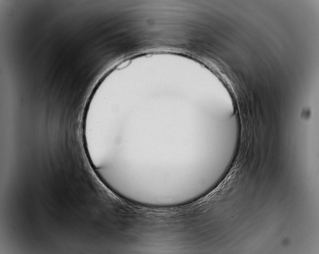 X0000103331189200810171417