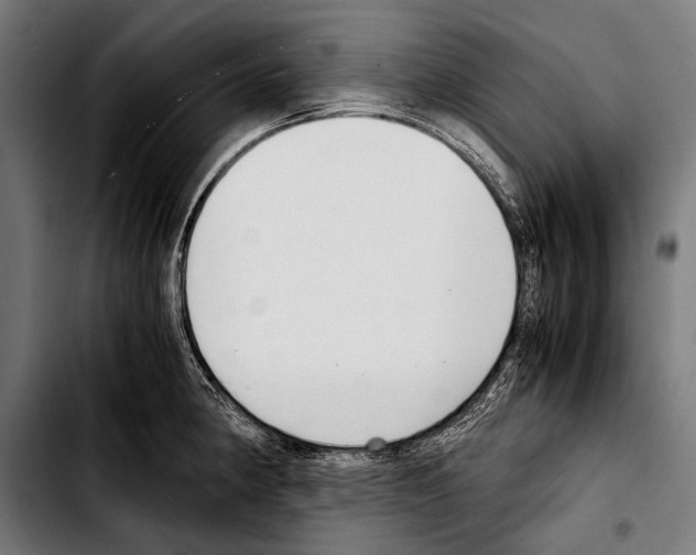 X0000103331190200810171417