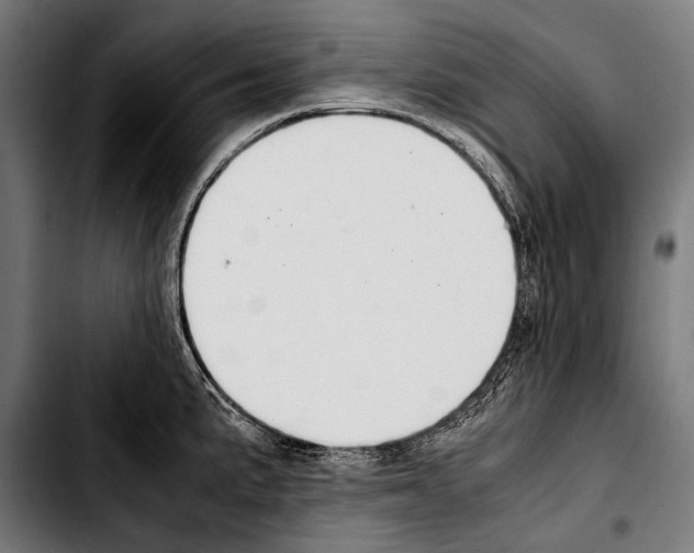 X0000103331191200810171417