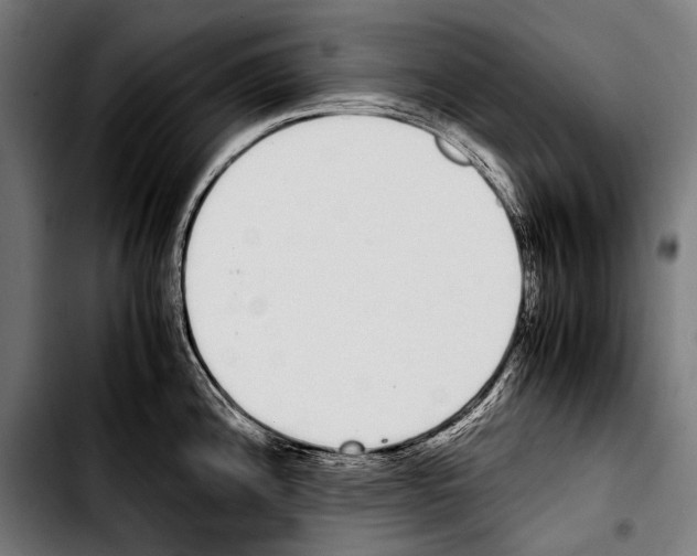 X0000103331192200810171417