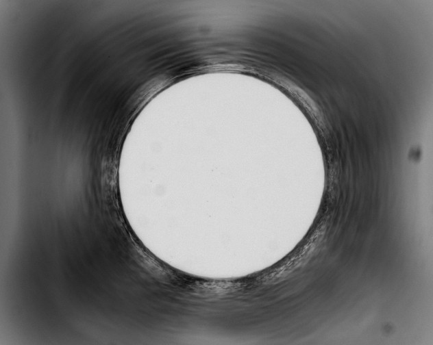 X0000103331193200810171417