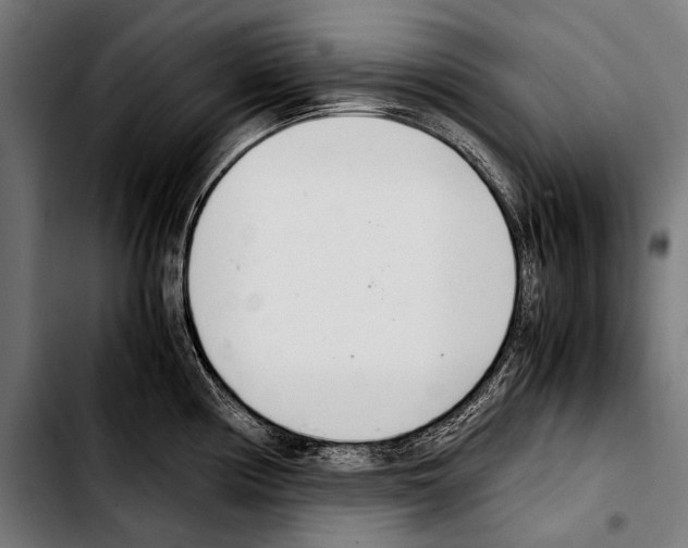 X0000103331194200810171417