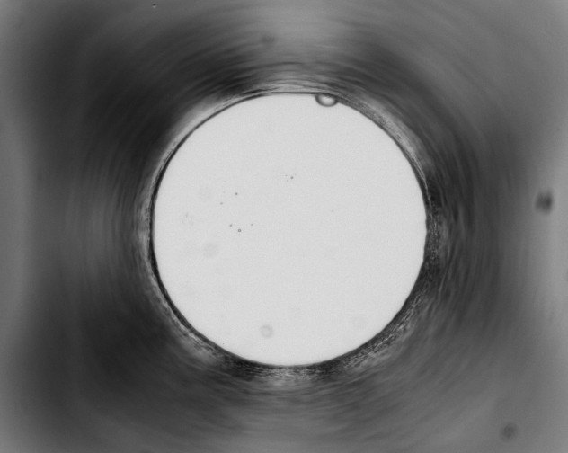 X0000103331195200810171417