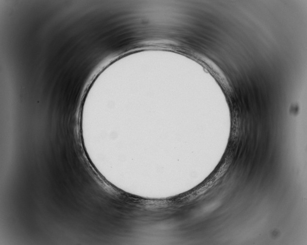 X0000103331196200810171417