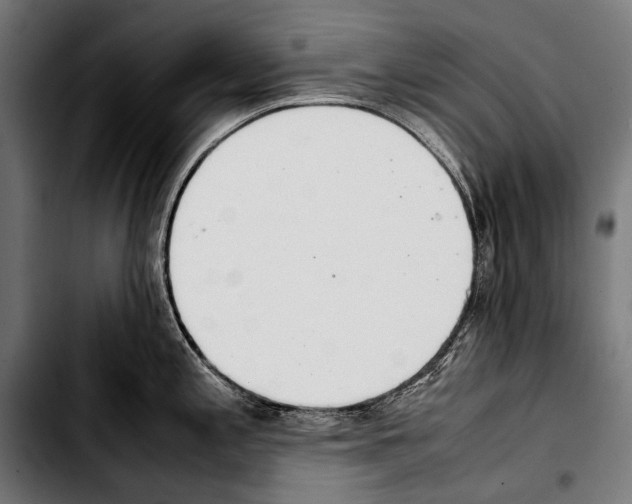 X0000103331197200810171417