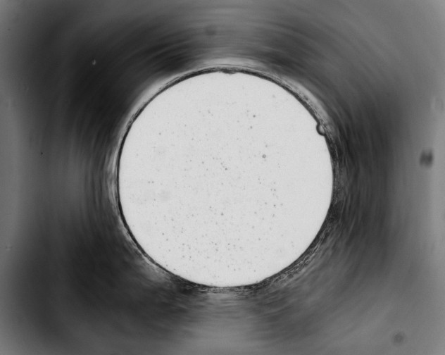 X0000103331199200810171417