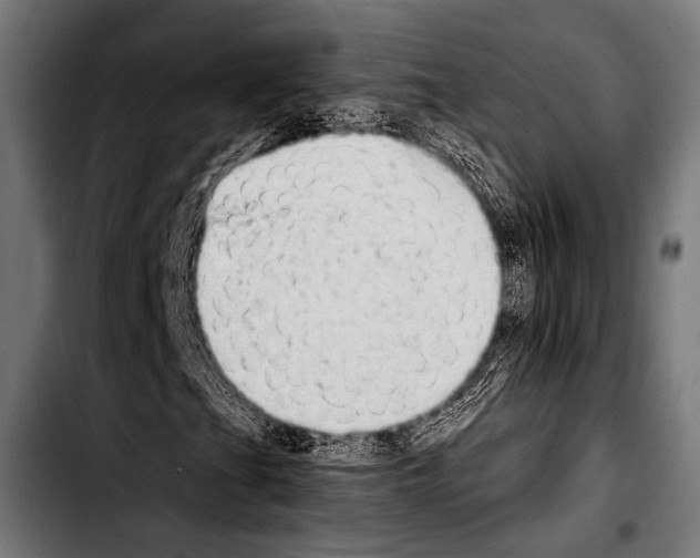 X0000103331201200810171416