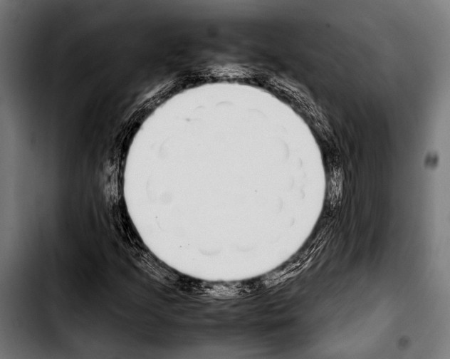 X0000103331205200810171416