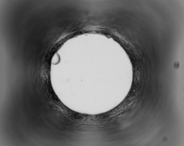 X0000103331206200810171416