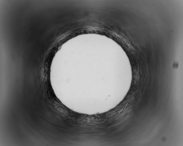 X0000103331207200810171416