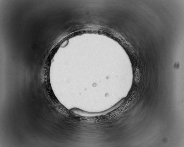 X0000103331208200810171416