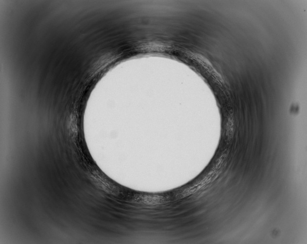 X0000103331209200810171416