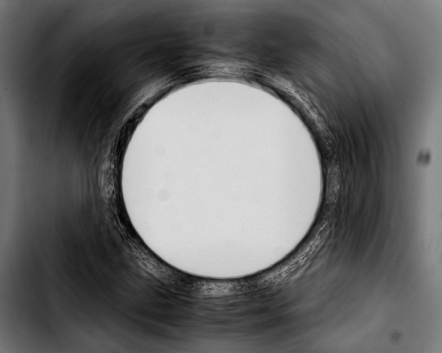 X0000103331211200810171416