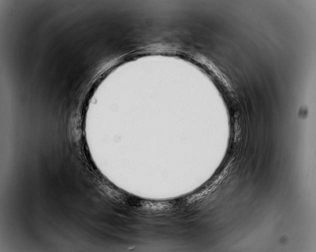 X0000103331213200810171416