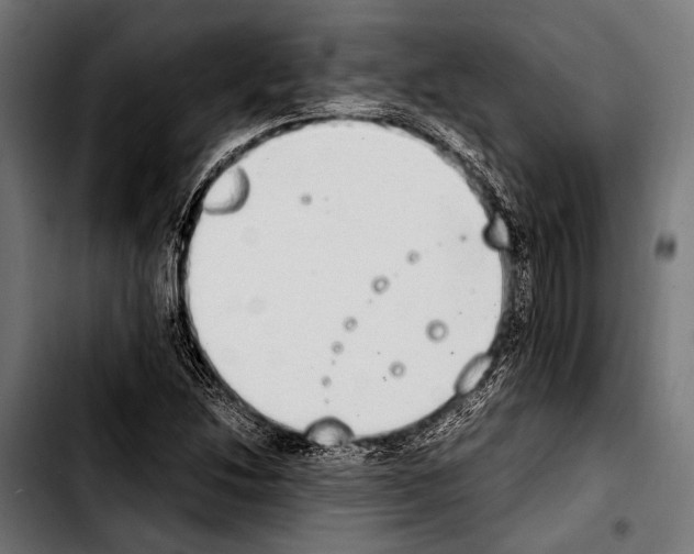 X0000103331214200810171416